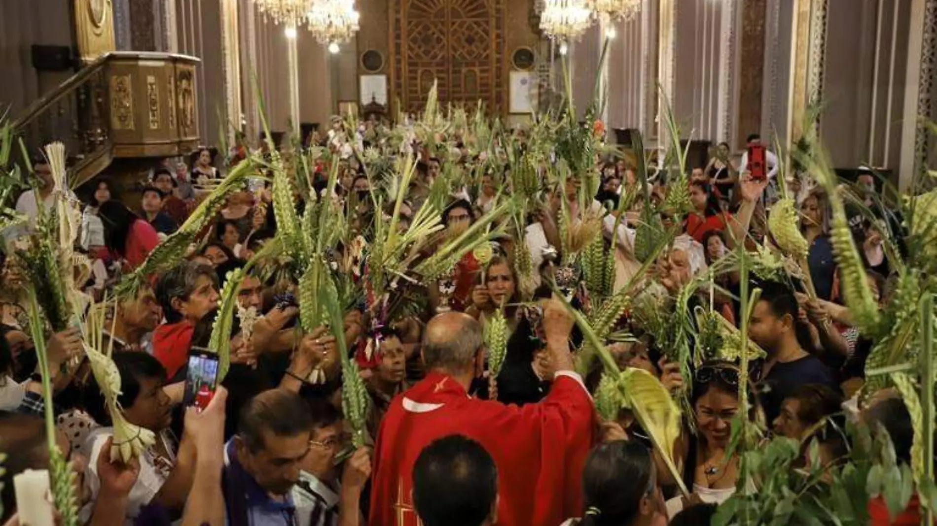 Domingo de ramos